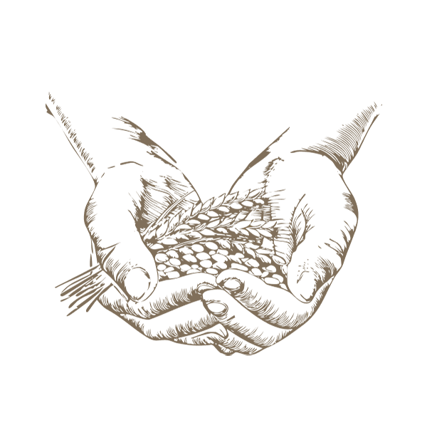 毎日のパンに安心を